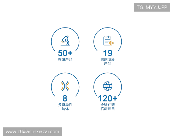 z6尊龙官方网站官网入口安全登录流程与账号保护措施全方位介绍