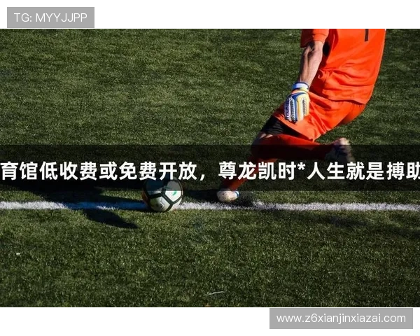 尊龙凯时人生就是搏app下载让你随时随地体验高品质的游戏娱乐享受，满足多样需求