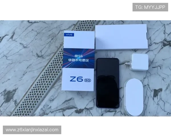 Z6尊龙集团官网用户注册流程与账号安全保障措施全面解析帮助新手快速上手
